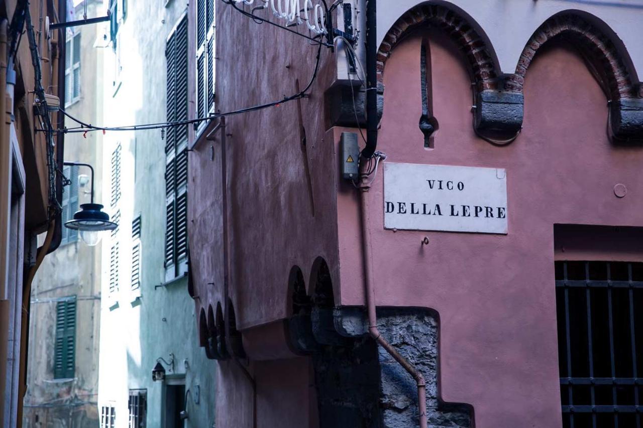 Zenamore * Genoa