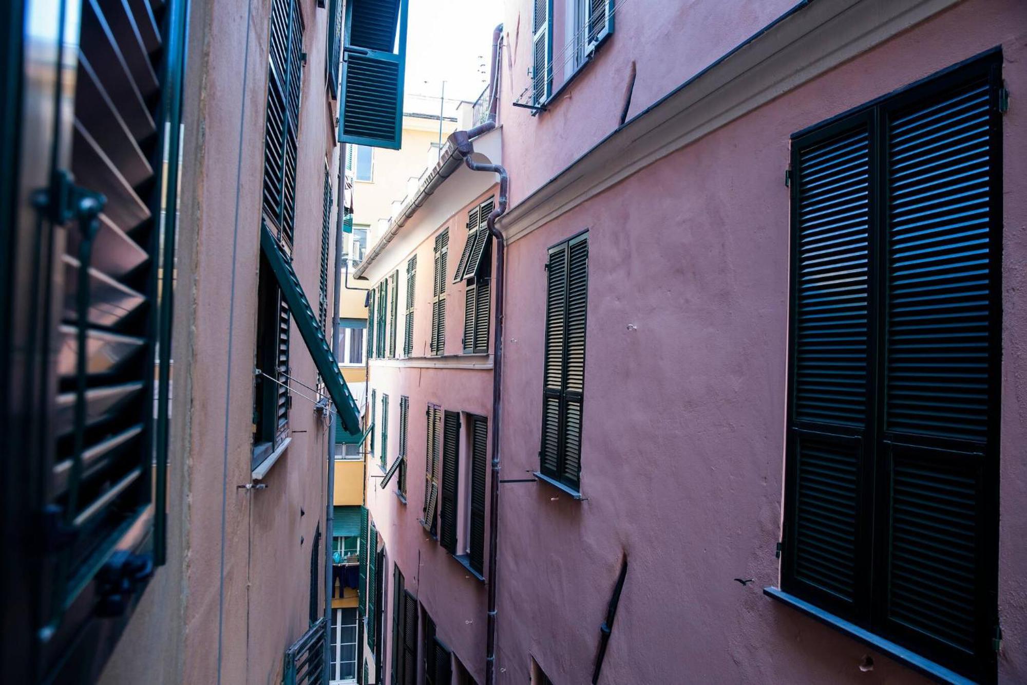 Zenamore Genoa